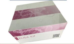 科學選購酶免elisa試劑盒需從六大維度審慎評估