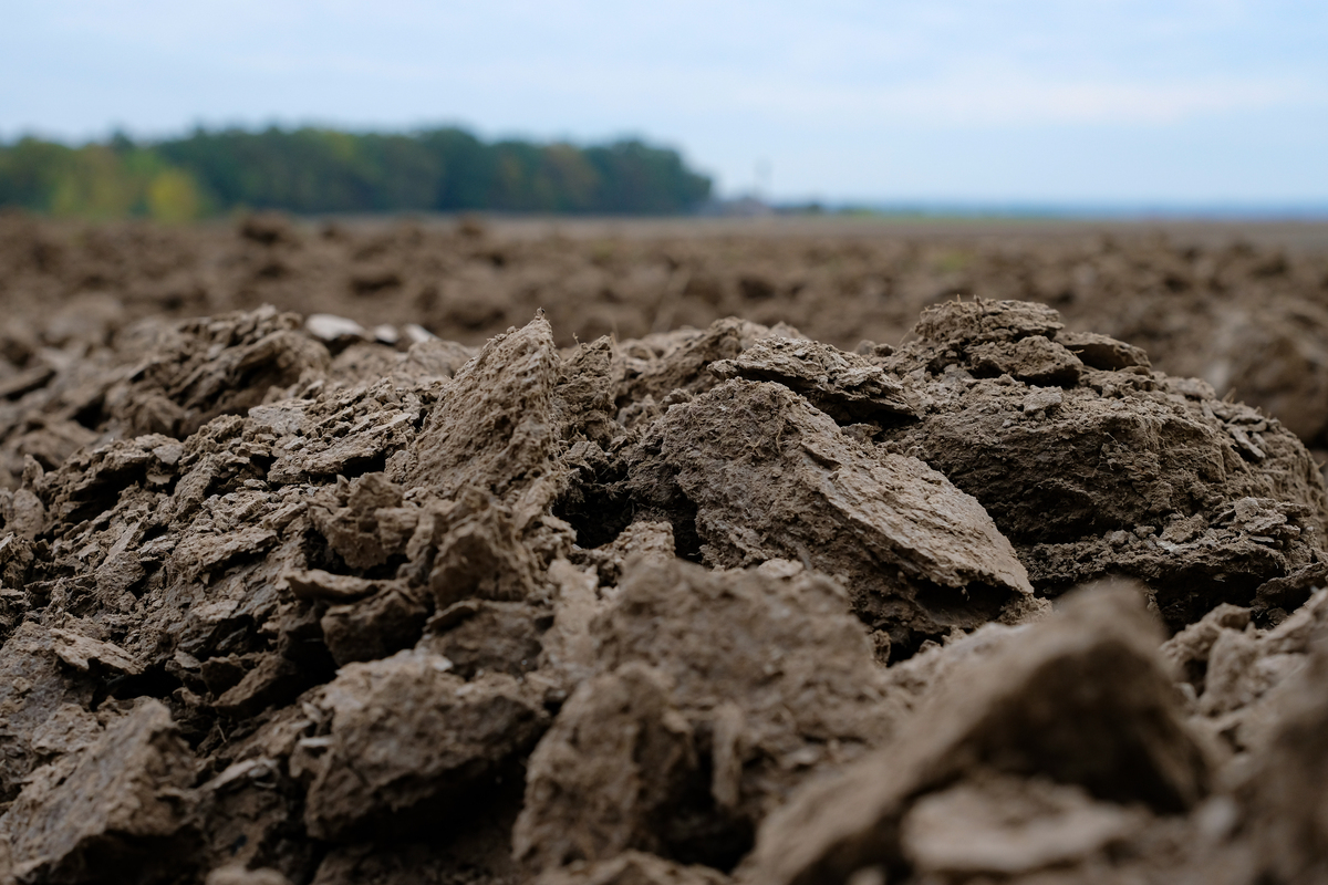 新品推薦，土壤中二噁英類成分分析標(biāo)準(zhǔn)物質(zhì)