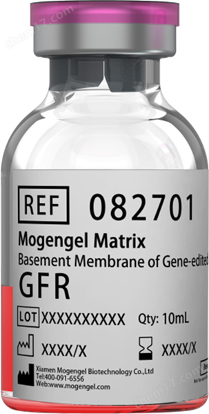 解锁细胞培养新维度：低生长因子基质胶全流程操作指南