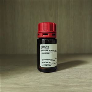 739952-1GSigma:RESOMER® RG 503