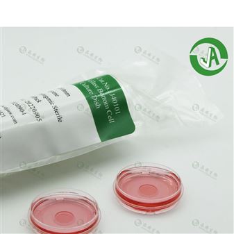 晶安i型鼠尾胶原包被35mm共聚焦玻底小皿