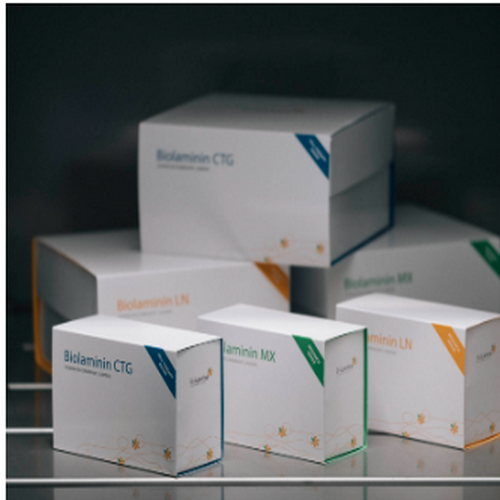 BIOLAMININ LN/重組人層粘連蛋白  細(xì)胞基質(zhì) 貼壁培養(yǎng)