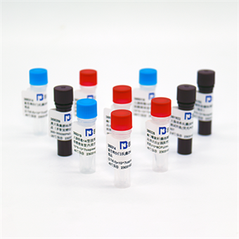 大腸桿菌噬菌體PhiX174核酸參考品（熱滅活）（強陽性）2