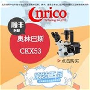 奥林巴斯CKX53 倒置荧光显微镜 三目生物