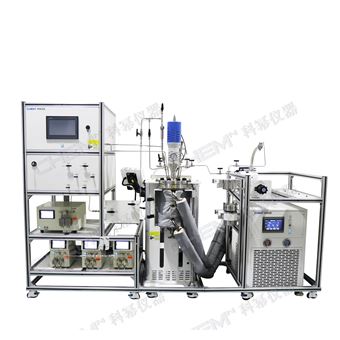 定制2L-5L間歇聚合反應(yīng)裝置