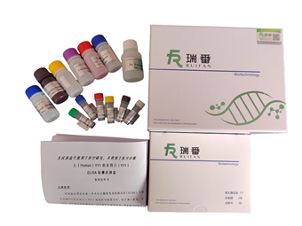 犬白介素8elisa試劑盒