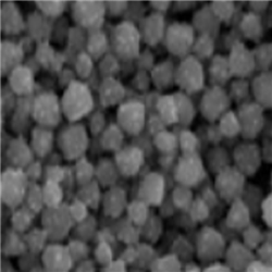 Co3O4 NPs，四氧化三钴纳米颗粒