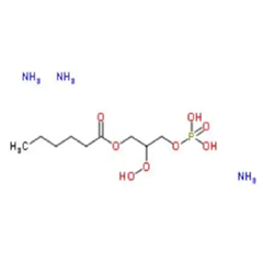 cas：384835-45-4，06:0 Lyso PA