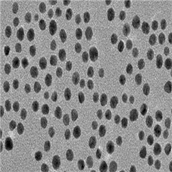 水溶性金纳米颗粒5nm