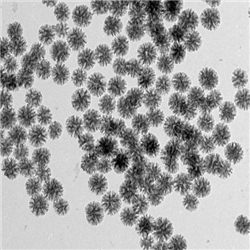 树枝状氨基大孔径介孔二氧化硅纳米颗粒