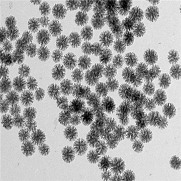 樹枝狀氨基大孔徑介孔二氧化硅納米顆粒