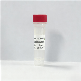 重組人血管內皮生長因子