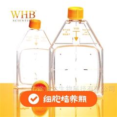 WHB-CCF150-LL-1150cm²透氣蓋掀蓋式細胞培養瓶