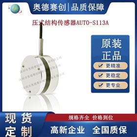 压式结构传感器AUTO S113A厂家直销变送器