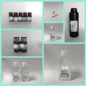 类风湿因子（RF）干扰物质