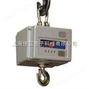 2T直視防爆吊秤