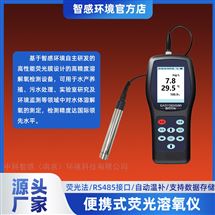 溶解氧检测仪 高精度抗干扰 环境监测专用