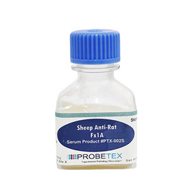 Sheep Anti-Rat Fx1A Serum