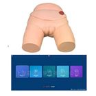 移动交互式女性导尿智能模拟考核系统