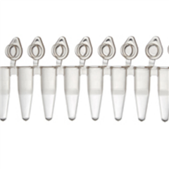 1402-4700八联排0.2 ml PCR管