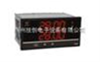 WP-D809-82-03-HLWP-D809-82-03-HL多路巡检仪