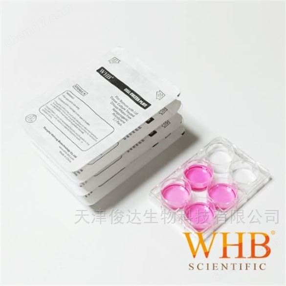 層粘連蛋白包被6孔培養(yǎng)板