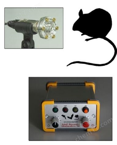 動物超聲聲譜分析系統(tǒng)