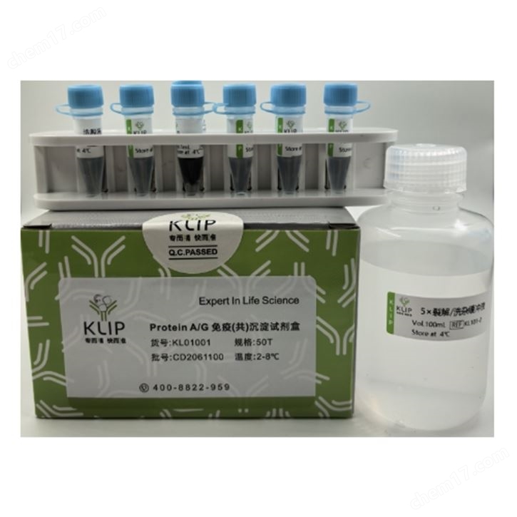 KLIP Protein A/G 免疫(共)沉淀試劑盒