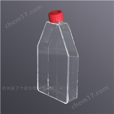 透氣細(xì)胞培養(yǎng)瓶