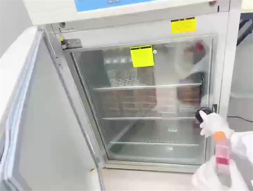 懸浮細胞收貨注意事項