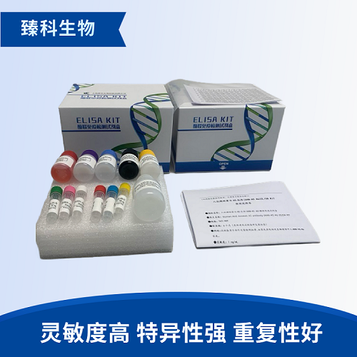 人L-乳酸脫氫酶(L-LDH）酶聯(lián)免疫試劑盒使用說(shuō)明書(shū)