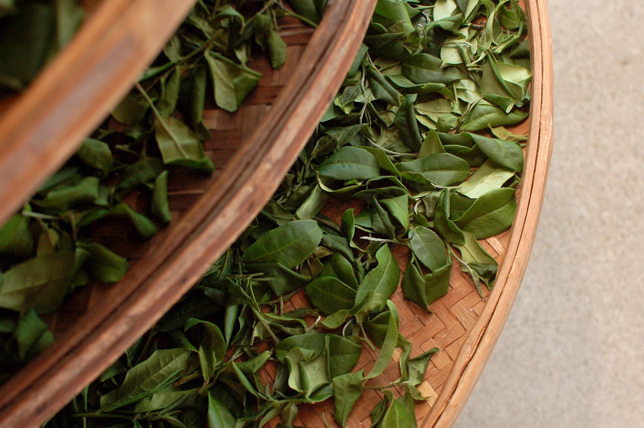 高光譜成像技術(shù)：新老茶葉的區(qū)分檢測
