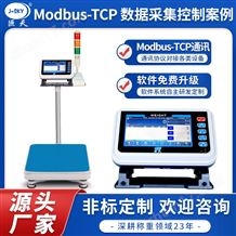 JDT-FWN-B20S油漆化學涂料配方配料秤防爆定制標簽打印
