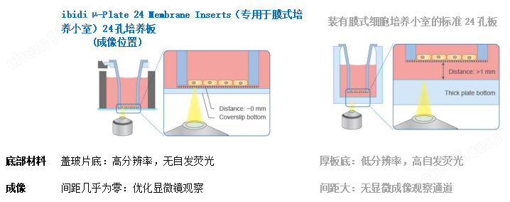 9.png 多孔膜細(xì)胞培養(yǎng)小室專用共聚焦24孔培養(yǎng)板