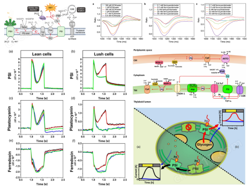 image.png 四通道動態(tài)LED陣列近紅外光譜儀