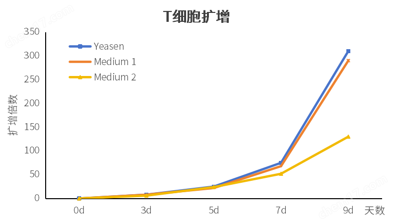 CelCulSF™ Lymphocyte Culture Medium（Serum-free）