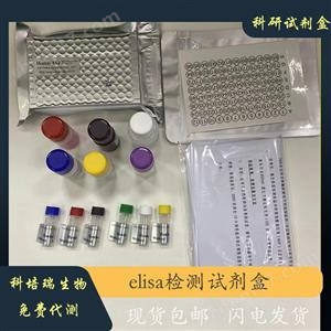 小鼠γ-谷氨酰轉(zhuǎn)移酶1(gGT1)elisa試劑盒KPR-H21592