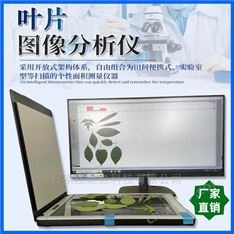 葉片圖像分析儀葉面積儀
