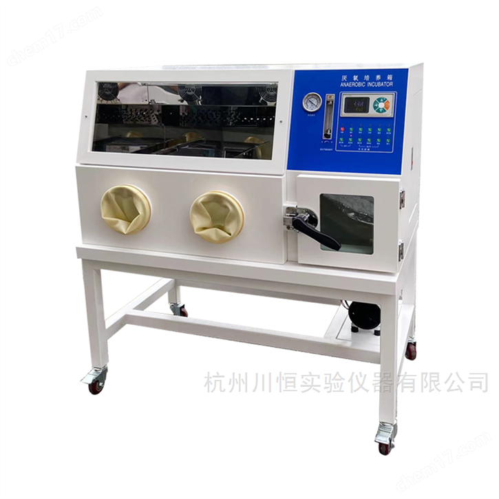 全自動(dòng)厭氧培養(yǎng)箱YQX-IID