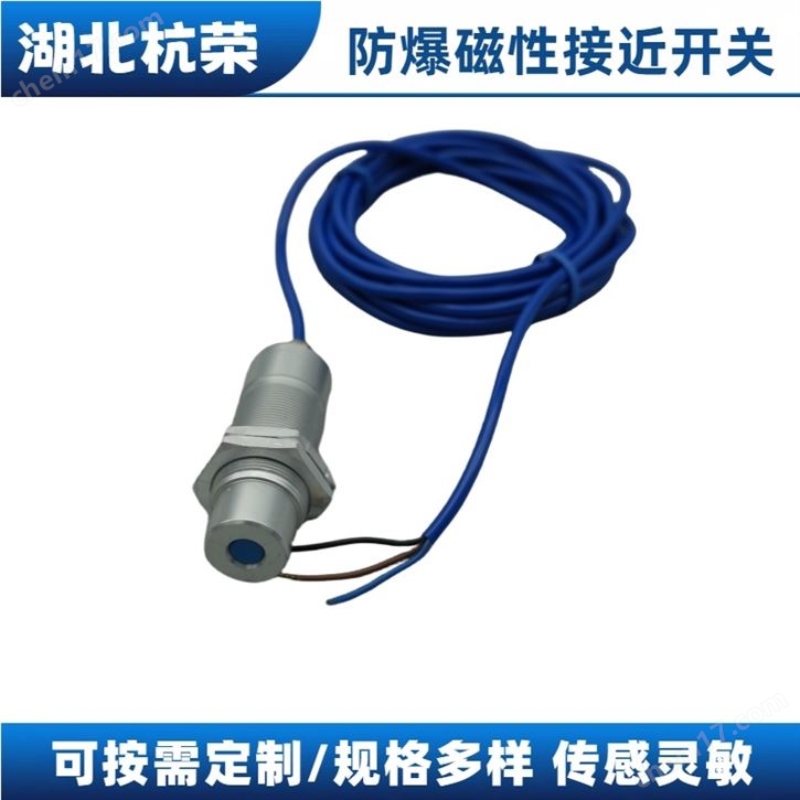 KGE1-1AP-SK礦用澆封型磁感應(yīng)開關(guān)圖