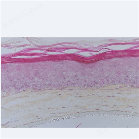poietis NGB3D打印機現(xiàn)貨