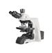 正置生物熒光顯微鏡
