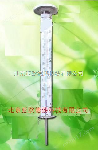 DP-DST-70-太陽能園藝溫度計/園藝溫度計
