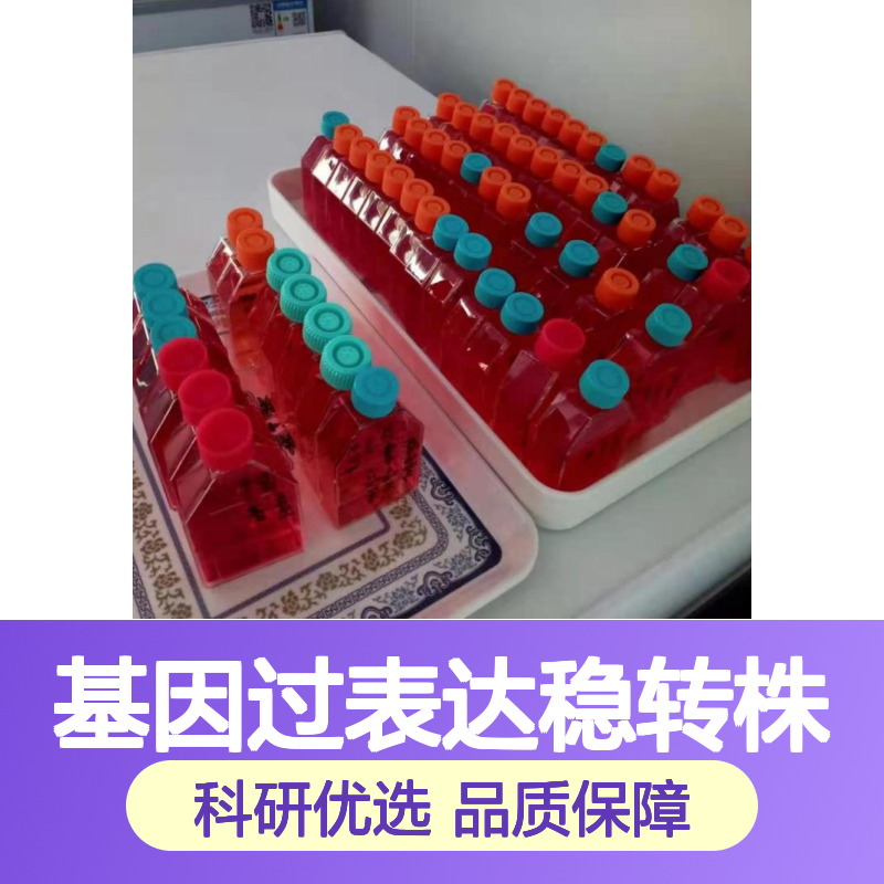 22525750fe1dd8d6a14c38a68eb75a36.png