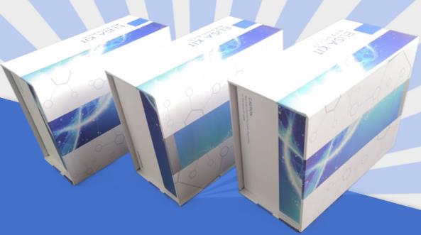 QQ20250205-144240.jpg
