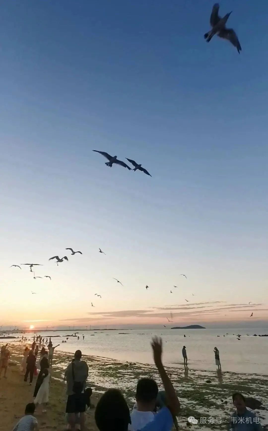 威海團(tuán)建 | 海浪、笑聲與團(tuán)隊(duì)凝聚力的四天三夜?