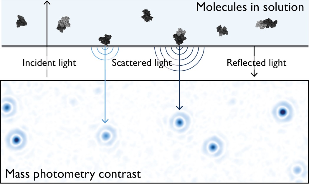 MP原理圖-2.jpg MP原理圖-2.jpg