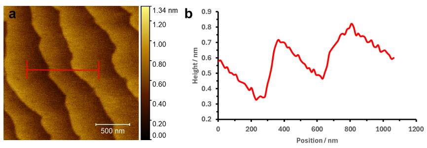 半導(dǎo)體研發(fā)卡脖子？AFM/SEM/EDS三合一顯微鏡讓納米級(jí)“病灶”顯形