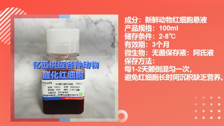 新鲜红细胞与醛化红细胞：生命活性与工程稳定的抉择
