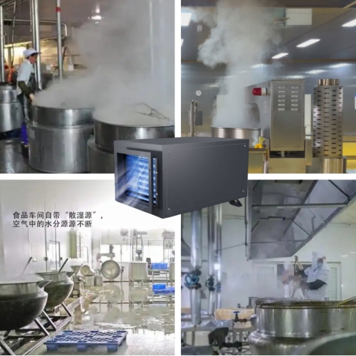食品廠蒸汽過大怎么消除？無骨雞爪鹵煮車間蒸汽去除機